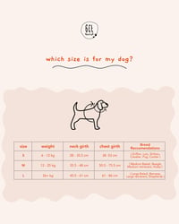 Essential Dog Harness - Image 2