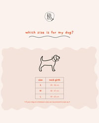 Essential Dog Collar - Image 2