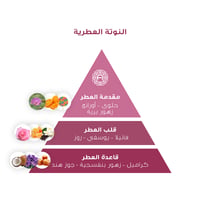 ROMANTIC 2020 | رومانتك 2020 - صورة 2