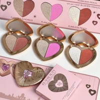 Charlotte-Inspired Blush & Highlighter Duo Palette - Image 2