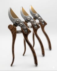 OUD FANCY CLIPPERS - Image 1
