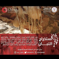 اللبان الحوجري العُماني للشرب - صورة 3