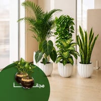 باكيج الشركات - صورة 1