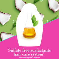 Ogx Shampoo Nourishing+ With Coconut Milk - Image 5