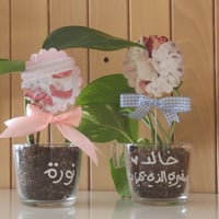 أكواب المواليد - صورة 2