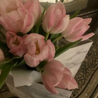 باقة التوليب 🌷 - صورة 6