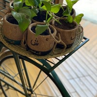  بقشة حرف - صورة 4