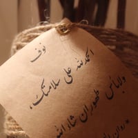 زهرة القطن - صورة 2