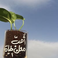 غرسة راقية | كمية محدودة ✨ - صورة 1