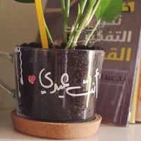 غرسة كل المواسم 🌿 - صورة 3