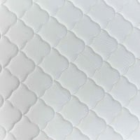 زيزي بلاش - صورة 4