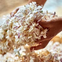 ديور عطر جادور رولر بيرل 20 مل عطور نسائي - صورة 4