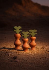 مجموعة نخلات سعفة - SAAFAH Palms Collection  - صورة 1