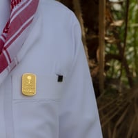 بروش دارنا بالعز وهّاجه - صورة 2