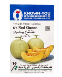 شمام ردكوين هجين - صورة 1