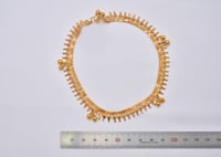 حجل ذهب 21 - صورة 5