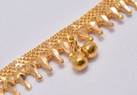 حجل ذهب 21 - صورة 2