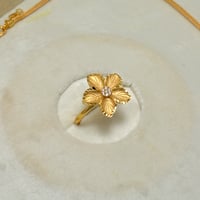 طقم كالزا ذهب 21 - صورة 2