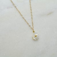 عقد صدف ذهب 18 - صورة 1