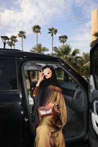 ASD.108 Golden hour - صورة 7