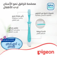 Pigeon Green Training Toothbrush Third Lesson - 12 to 18 Months  - Image 2