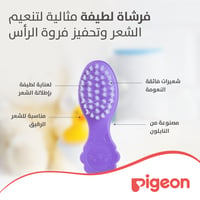 Pigeon Comb and  Brush - Image 2