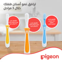 Pigeon Orange Training Toothbrush Second Lesson - 8 to 12 Months  - Image 2