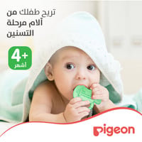 Pigeon Cooling Teether - Guitar  - Image 3