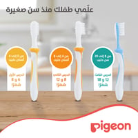 Pigeon Baby Training Toothbrush Set - Image 4