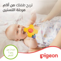 Pigeon Toy and Training Teether Step Two - 7+ Months  - Image 7