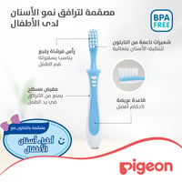 Pigeon Blue Training Toothbrush Third Lesson - 12 to 18 Months  - Image 4
