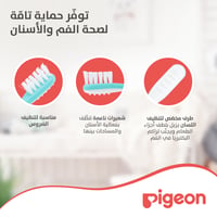Pigeon Green Training Toothbrush Third Lesson - 12 to 18 Months  - Image 4