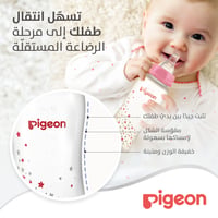 Pigeon Slim Neck Flexible Plastic Bottle Decorated (Assorted) - 250ML - Image 9