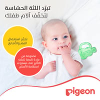 Pigeon Cooling Teether - Guitar  - Image 6