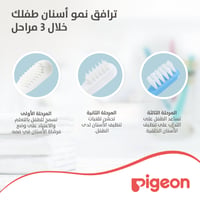 Pigeon Baby Training Toothbrush Set - Image 6