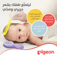 Pigeon Comb and  Brush - Image 6