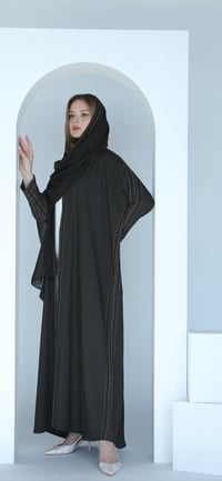 R103 - صورة 2