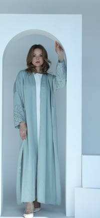 R98 - صورة 2