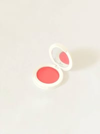Powder Blush - صورة 1