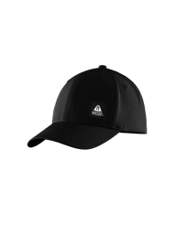 WP Anniversary Cap - صورة 1