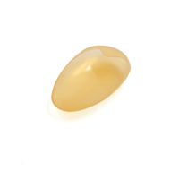 Ear Cover Shield Protecter - Image 2