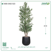 شجرة زيتون صناعية ( ارتفاع 200 سم ) حوض فيبر
