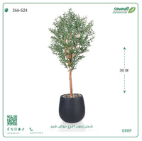 شجرة زيتون صناعية ( ارتفاع 245 سم ) حوض فيبر