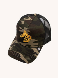  Victorious cap 3