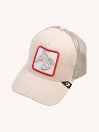 Victorious cap 2