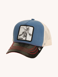Clever Cap