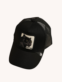 Panther Cap 3