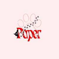 Paper Cat 🐈⬛