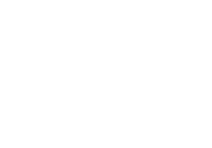 العجوة الأساسية للاستيراد