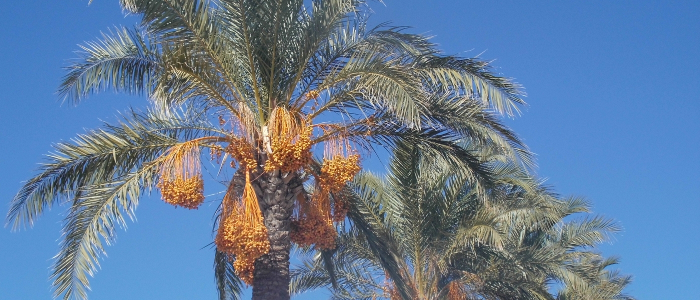 للجودة عنوان 